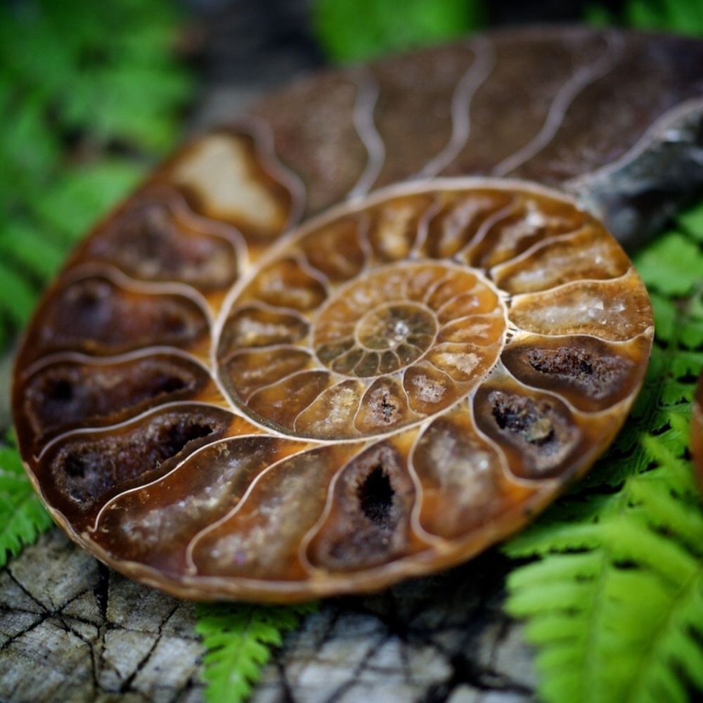 Meet your Posher, Angie